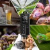 Ứng dụng bộ điều khiển nhiệt độ thông minh Elitech STC-1000WiFi